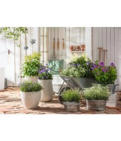 Zink-Wanne Mit Holzgriffen, Rund, Silber -Outdoor Living Verkauf 6708408 323683 323717 WE MO 001 Zinkschalerundsilber