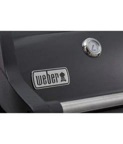 Weber Gasgrill Spirit E-215 GBS 17 Weber Gasgrill Spirit E-215 GBS -Outdoor Living Verkauf 6778146 WE DE 001 SpiritE215GBS