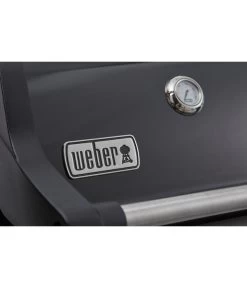 Weber Gasgrill Spirit E-315 GBS 15 Weber Gasgrill Spirit E-315 GBS -Outdoor Living Verkauf 6778161 WE DE 002 SpiritE315GBS