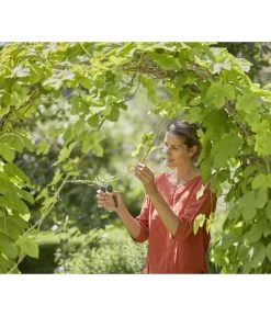 GARDENA Bypass Gartenschere Ecoline -Outdoor Living Verkauf 6916084 WE MO 003 GardenaGartenschereEcoline