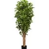 Gasper Kunstpflanze Ficus Benjamini, Ca. H150 Cm 2 Gasper Kunstpflanze Ficus Benjamini, Ca. H150 Cm -Outdoor Living Verkauf 6934590 WE FS 001 FicusBenjaminiH150cm