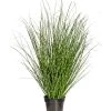 Gasper Kunstpflanze Grasbusch 2 Gasper Kunstpflanze Grasbusch -Outdoor Living Verkauf 6934848 WE FS 001 GrasbuschH110cm