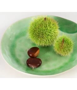 Esskastanie -Outdoor Living Verkauf 7091580 PR DE 002 CastaneaSativaEsskastanieDehnerExpressHerzig