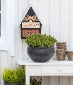 Schneeheide -Outdoor Living Verkauf 7172034 WE MO 001 Schneeheide FirstDinner