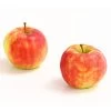 Herbstapfel 'Elstar' -Outdoor Living Verkauf 7369164 WE DE 005 ApfelElstarDehnerExpressHerzig