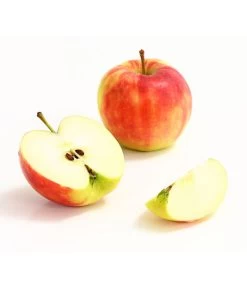 Herbstapfel 'Elstar' -Outdoor Living Verkauf 7369164 WE DE 006 ApfelElstarDehnerExpressHerzig