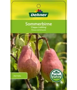 Sommerbirne 'Clapps Liebling' -Outdoor Living Verkauf 7625494 SommerbirneClappsLiebling Etikett 1
