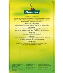 Sommerbirne 'Clapps Liebling' -Outdoor Living Verkauf 7625494 SommerbirneClappsLiebling Etikett 2