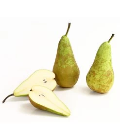 Herbstbirne 'Conference' -Outdoor Living Verkauf 7625908 WE DE 006 BirneConferenceDehnerExpressHerzig