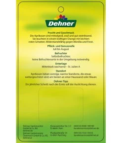 Aprikose 'Compacta' -Outdoor Living Verkauf 7626021 AprikoseCompacta Etikett 2