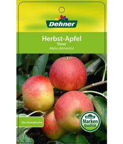 Herbstapfel 'Elstar' -Outdoor Living Verkauf 7639164 HerbstapfelElstar Etikett 1