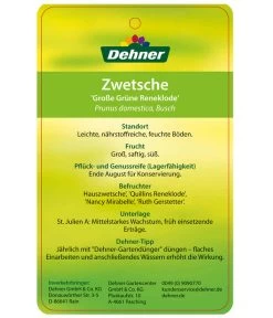 Dehner Reneklode 'Große Grüne Reneklode' -Outdoor Living Verkauf 7657802 ReneklodeGrosseGrueneReneklode Etikett 2