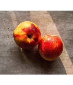 Nektarine, Verschiedene Sorten