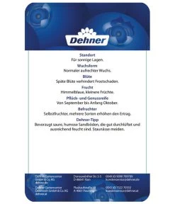 Heidelbeere 'Elliot' -Outdoor Living Verkauf 7665227 HeidelbeereElliot Etikett 2