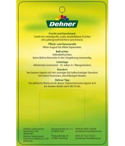 Zwetschge 'Jojo' -Outdoor Living Verkauf 7692635 ZwetscheJojo Etikett 2