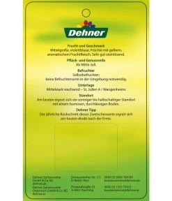 Zwetschge 'Katinka' -Outdoor Living Verkauf 7693252 ZwetscheKatinka Etikett 2