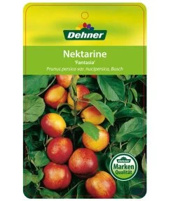 Nektarine 'Fantasia' -Outdoor Living Verkauf 7720170 NektarineFantasia Etikett 1