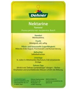 Nektarine 'Fantasia' -Outdoor Living Verkauf 7720170 NektarineFantasia Etikett 2