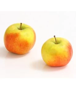 Säulenapfel 'Rondo' 6 Säulenapfel 'Rondo' -Outdoor Living Verkauf 7744873 WE DE 001 ApfelRondoDehnerExpressHerzig