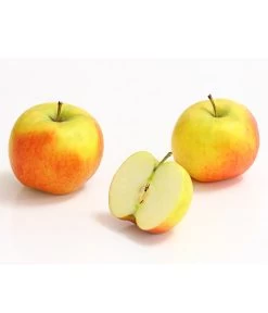 Säulenapfel 'Rondo' 7 Säulenapfel 'Rondo' -Outdoor Living Verkauf 7744873 WE DE 002 ApfelRondoDehnerExpressHerzig