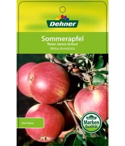 Sommerapfel 'Roter James Grieve' -Outdoor Living Verkauf 7745730 SommerapfelRoterJamesGrieve Etikett 1