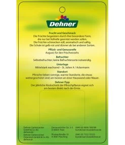 Dehner Tellerpfirsich -Outdoor Living Verkauf 7763378 Tellerpfirsich Etikett 2
