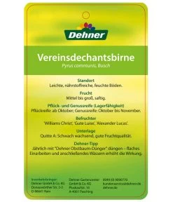 Herbstbirne 'Vereinsdechant' -Outdoor Living Verkauf 7772064 BirneVereinsdechant Etikett 2