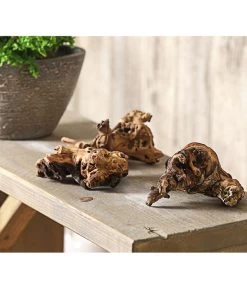 Mopani-Wurzel, 3er-Set -Outdoor Living Verkauf 7977507 WE MO 001 MopanieWurzelGroesseS3erSetDehnerExpressHerzig