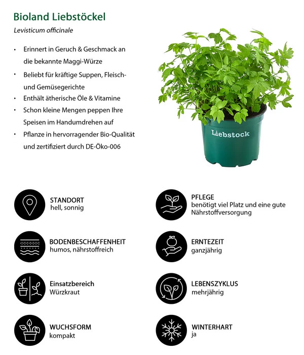 Bioland Liebstöckel 4 Bioland Liebstöckel – Bild 2