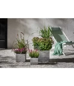 Fetthenne - Mauerpfeffer 'Autumn Joy' 9 Fetthenne - Mauerpfeffer 'Autumn Joy' -Outdoor Living Verkauf 8021826 PR MO 004 PennisetumRubrumT19Lampenputzergras Bienen GC17 2020