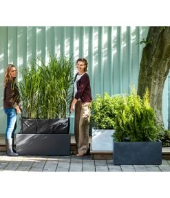 Outdoor Living Verkauf -Outdoor Living Verkauf 8050239 WE MO 001 SichtschutzGraeser BL14 2022 1