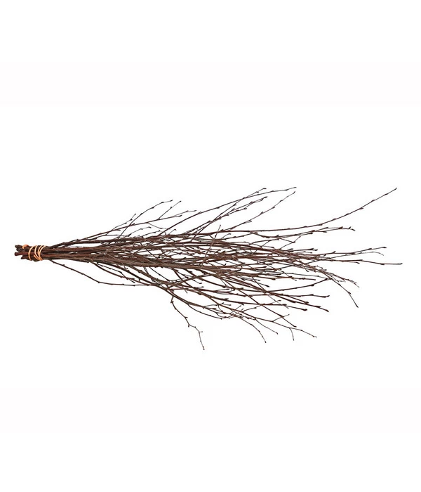 Birkenzweige-Bund, Ca. 70 Cm 4 Birkenzweige-Bund, Ca. 70 Cm – Bild 2