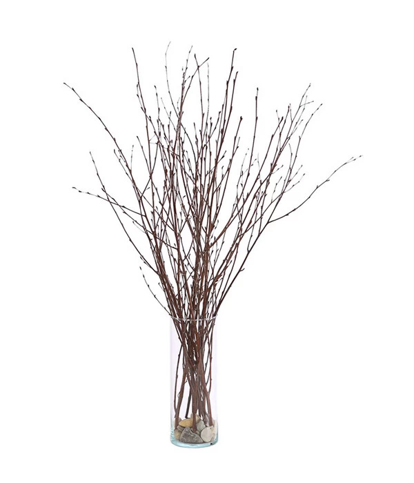 Birkenzweige-Bund, Ca. 70 Cm 5 Birkenzweige-Bund, Ca. 70 Cm – Bild 3