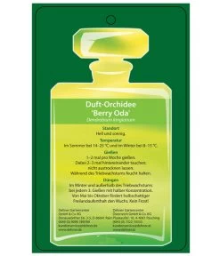 Duft-Traubenorchidee - Dendrobium Kingianum 'Berry' -Outdoor Living Verkauf 8250714 DuftorchideeBeryyOdaEtikett2