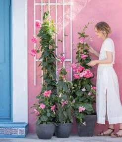 Kunststoff-Topf Padua, Rund -Outdoor Living Verkauf 8594434 WE MO 001 DiplandenienMadevilla