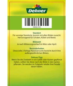 Narzisse 'Jetfire', Schale -Outdoor Living Verkauf 8662363 Narcissus Jetfire Schale 2016 2