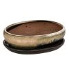 Dehner Keramik-Bonsaischale, Oval, Creme/dunkelbraun, Ca. B21/H6/T16,5 Cm -Outdoor Living Verkauf 8732190 WE FS 001 SchalensortimentBonsai CremeMokkaGr 3