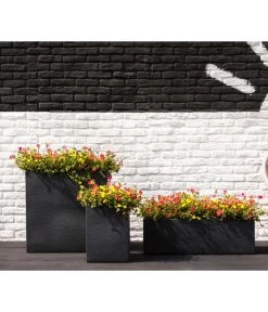 Portulakröschen -Outdoor Living Verkauf 8817199 8827271 WE MO 001 PortulacaT11Portulakroeschen