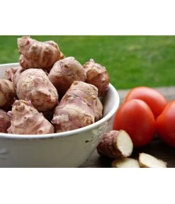 Topinambur -Outdoor Living Verkauf 8830184 PR MO 001 TopinamburPixabay