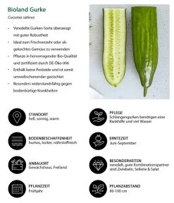 Bioland Gurke, Veredelt -Outdoor Living Verkauf 8830853 WE IG 001 BiolandGurke