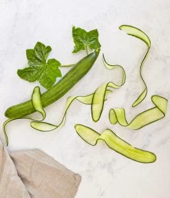 Bioland Gurke, Veredelt -Outdoor Living Verkauf 8830853 WE MO 001 SchlangengurkeveredeltRenner