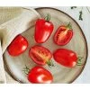 Bioland Eiertomate -Outdoor Living Verkauf 8831463 WE DE 001 BiolandEiertomate