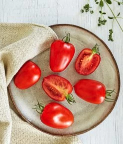 Bioland Eiertomate -Outdoor Living Verkauf 8831463 WE MO 001 BiolandEiertomate