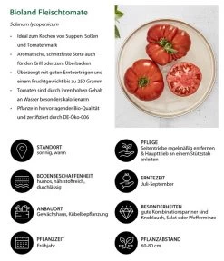 Bioland Fleischtomate -Outdoor Living Verkauf 8842627 WE IG 001 BiolandFleischtomate
