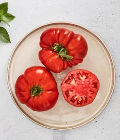 Bioland Fleischtomate -Outdoor Living Verkauf 8842627 WE MO 001 BiolandFleischtomate