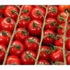 Bioland Cherrytomate -Outdoor Living Verkauf 8842635 WE DE 001 Bio Cherrytomate