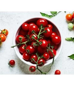 Bioland Cherrytomate 10 Bioland Cherrytomate -Outdoor Living Verkauf 8842635 WE MO 001 Bio Cherrytomate
