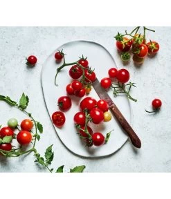 Bioland Cherrytomate 11 Bioland Cherrytomate -Outdoor Living Verkauf 8842635 WE MO 002 Bio Cherrytomate