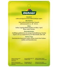 Kornelkirsche - Cornus Mas -Outdoor Living Verkauf KornelkirscheCornusmas Etikett 2