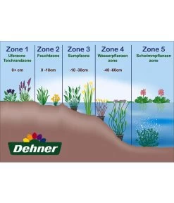 Zypersegge - Scheinzypergras-Segge -Outdoor Living Verkauf WE DE 001 Teichzonen Wasserpflanzen Schild 1
